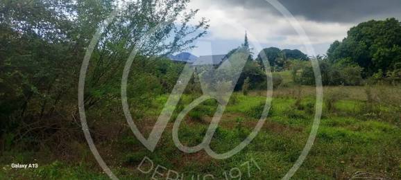 Achat Terrain Saint-François (97118) - GUADELOUPE