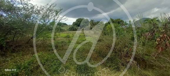 Achat Terrain Saint-François (97118) - GUADELOUPE