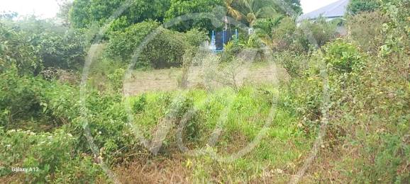 Achat Terrain Saint-François (97118) - GUADELOUPE