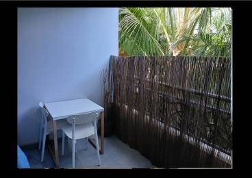 Location Appartement Saint-Leu (97436) - REUNION