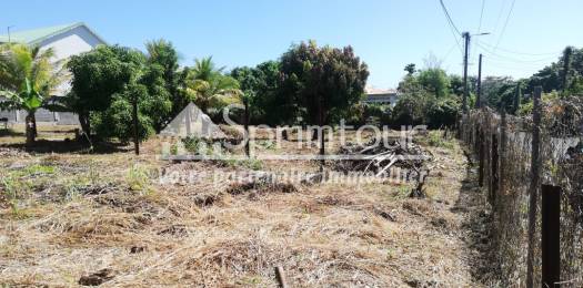 Achat Terrain Capesterre Belle Eau (97130) - GUADELOUPE