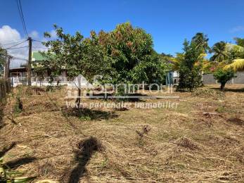 Achat Terrain Capesterre Belle Eau (97130) - GUADELOUPE