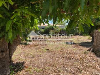 Achat Terrain Capesterre Belle Eau (97130) - GUADELOUPE