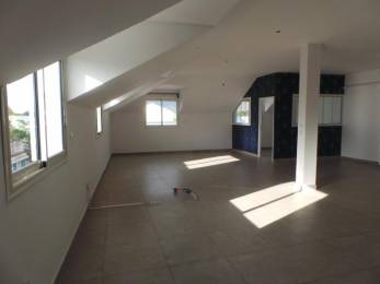 Location  Bureau / Local professionnel Saint-Paul (97460) - REUNION