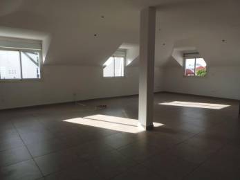 Location  Bureau / Local professionnel Saint-Paul (97460) - REUNION