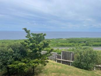 Achat Appartement Hauts de Saint-Leu (97424) - REUNION