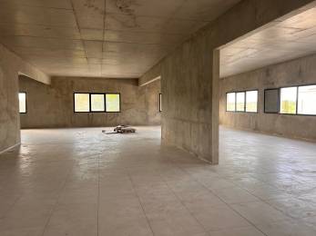 Location  Local Professionnel Les Abymes (97139) - GUADELOUPE