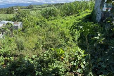 Achat Terrain Saint-Pierre (97410) - REUNION