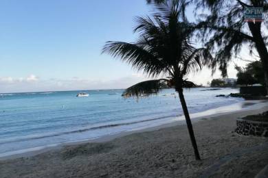 Location Appartement GRAND BAIE - PEREYBERE - POINTE AUX CANNONIERS () - MAURICE