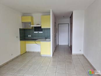 Location Appartement Saint-Denis (97400) - REUNION
