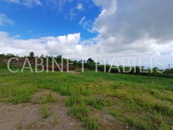 Achat Terrain Tampon (97430) - REUNION