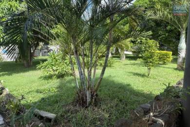 Location Maison GRAND GAUBE () - MAURICE