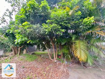 Achat Terrain Saint-Pierre (97410) - REUNION
