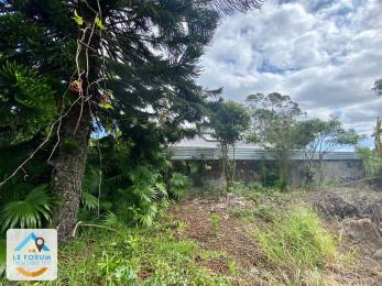 Achat Terrain Saint-Pierre (97410) - REUNION