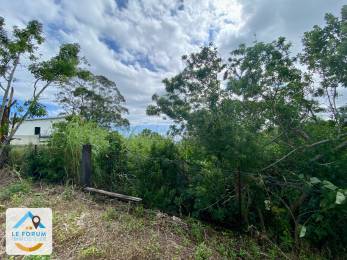 Achat Terrain Saint-Pierre (97410) - REUNION