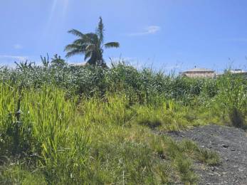 Achat Terrain Saint-André (97440) - REUNION
