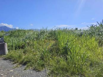 Achat Terrain Saint-André (97440) - REUNION