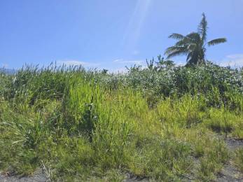 Achat Terrain Saint-André (97440) - REUNION
