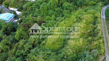 Achat Terrain Vieux Habitants (97119) - GUADELOUPE