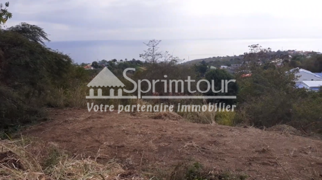 Achat Terrain Vieux Habitants (97119) - GUADELOUPE