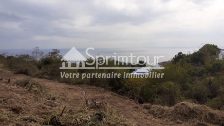 Achat Terrain Vieux Habitants (97119) - GUADELOUPE