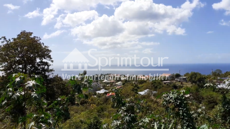 Achat Terrain Vieux Habitants (97119) - GUADELOUPE