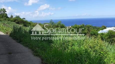 Achat Terrain Vieux Habitants (97119) - GUADELOUPE