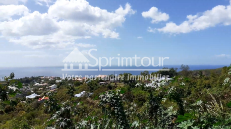 Achat Terrain Vieux Habitants (97119) - GUADELOUPE