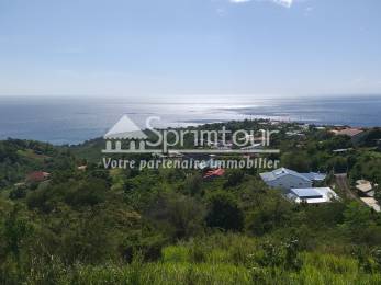 Achat Terrain Vieux Habitants (97119) - GUADELOUPE