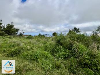 Achat Terrain Tampon (97430) - REUNION