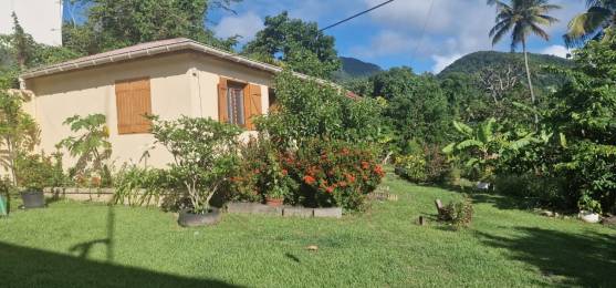 Location Bien meublé Gourbeyre (97113) - GUADELOUPE