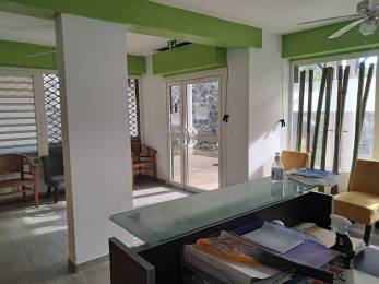 Location  Bureau / Local professionnel Saint-Gilles les Bains (97434) - REUNION