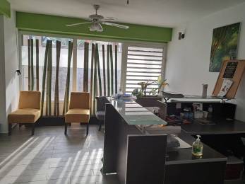 Location  Bureau / Local professionnel Saint-Gilles les Bains (97434) - REUNION