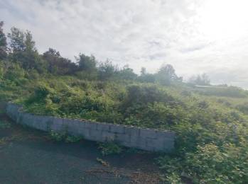 Achat Terrain Tampon (97430) - REUNION