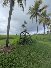 Achat Terrain à Batir Capesterre Belle Eau (97130) - GUADELOUPE