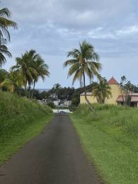 Achat Terrain à Batir Capesterre Belle Eau (97130) - GUADELOUPE