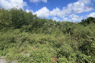 Achat Terrain GRAND GAUBE () - MAURICE