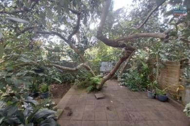 Location Maison Tampon (97430) - REUNION