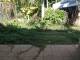 miniature