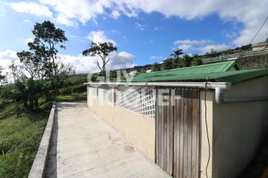 Achat Maison Hauts de Saint-Leu (97416) - REUNION