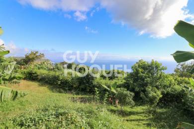 Achat Maison Hauts de Saint-Leu (97416) - REUNION