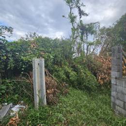Achat Terrain Saint-André (97440) - REUNION