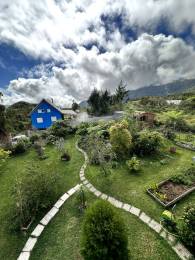 Achat Maison Plaine des Palmistes (97431) - REUNION