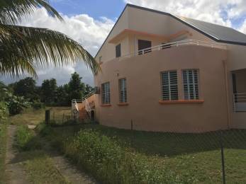 Location Appartement Le Moule (97160) - GUADELOUPE