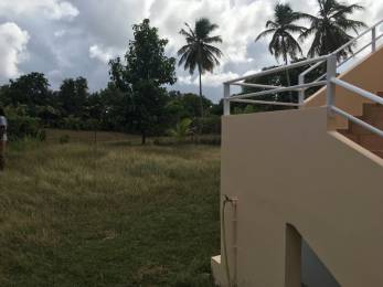 Location Appartement Le Moule (97160) - GUADELOUPE