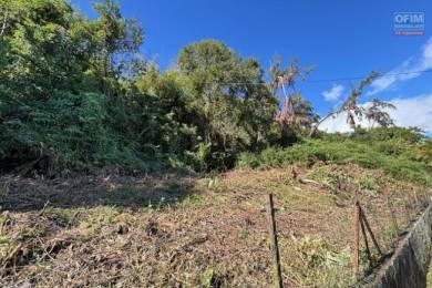 Achat Terrain La Montagne (97417) - REUNION