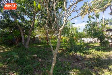 Achat Terrain Tampon (97430) - REUNION