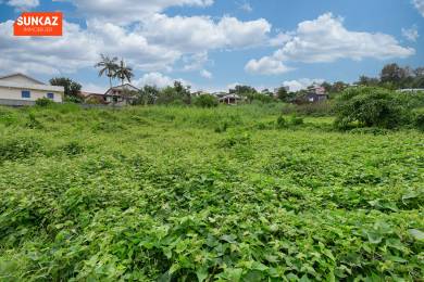 Achat Terrain Tampon (97430) - REUNION