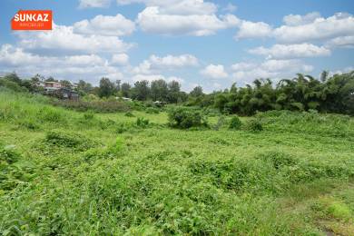 Achat Terrain Tampon (97430) - REUNION