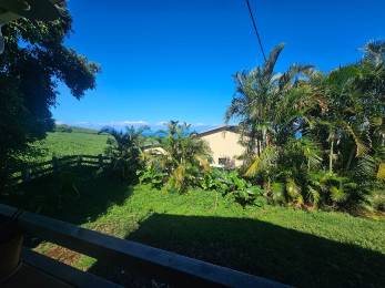 Achat Maison Saint-Pierre (97410) - REUNION